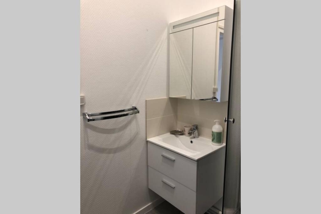 Villa Camelia Quartier Thermal Grand Studio Au Calme Vichy Zewnętrze zdjęcie